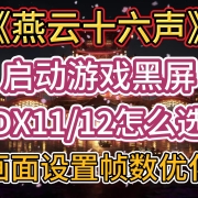 《燕云十六声》启动游戏黑屏?Dx11与Dx12怎么选?画面设置帧数优化教程