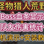 <strong>《怪物猎人荒野》最新Boss血条显示+队友伤害统计插件实机演示+安装教程</strong>