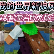 免费领取!MC我的世界新皮肤JAVA版/基岩版免费白嫖教程
