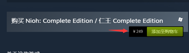 steam仁王加速器