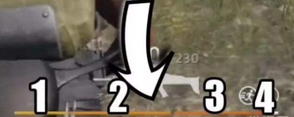 图片241516433493311200.png