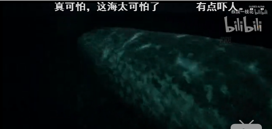 战地5加速器